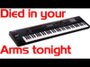 Roland Fantom 07 - Died in your arms tonight