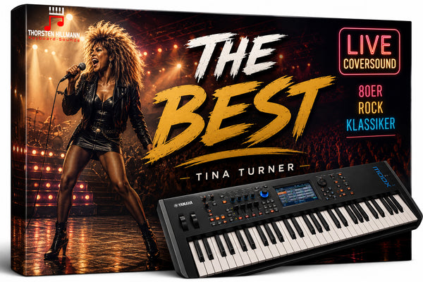 tina_turner_coversound