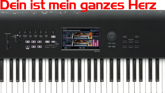 Korg Nautilus Coversound - Dein ist mein ganzes Herz - Thorsten Hillmann Keyboard-Sounds