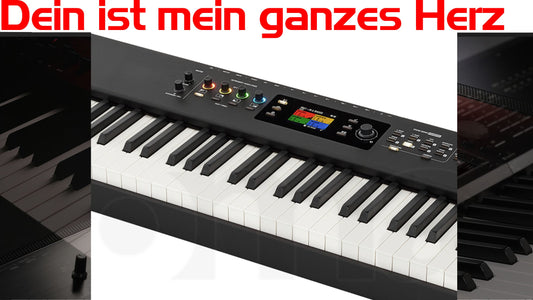 Studiologic Numa X Piano Coversound - Dein ist mein ganzes Herz - Thorsten Hillmann Keyboard-Sounds