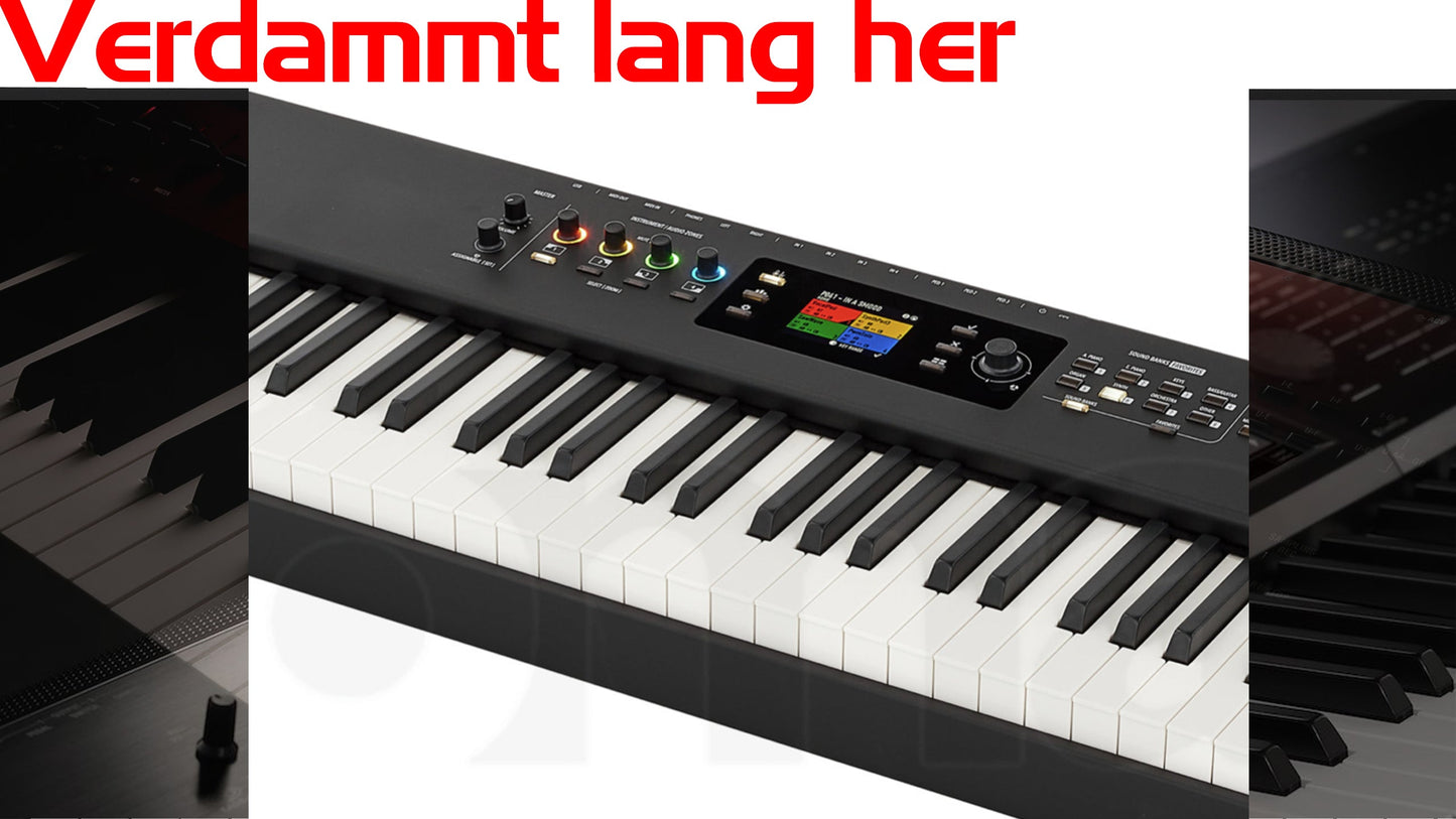 Studiologic Numa X Piano Coversound - Verdammt lang her - Thorsten Hillmann Keyboard-Sounds