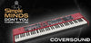 Nord Stage 4 Coversound - Don't you forget about me