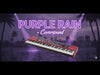 Nord Stage 4 Coversound - Purple Rain