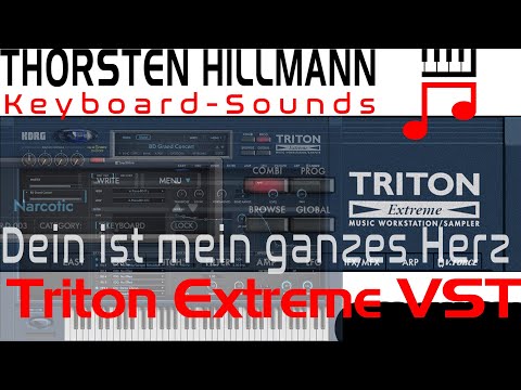 Korg Triton Extreme VST Coversound - Yours is my whole heart