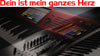 Korg Kronos Coversound - Dein ist mein ganzes Herz - Thorsten Hillmann Keyboard-Sounds